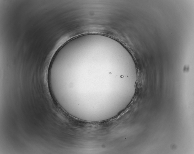 X0000103280099200809191815