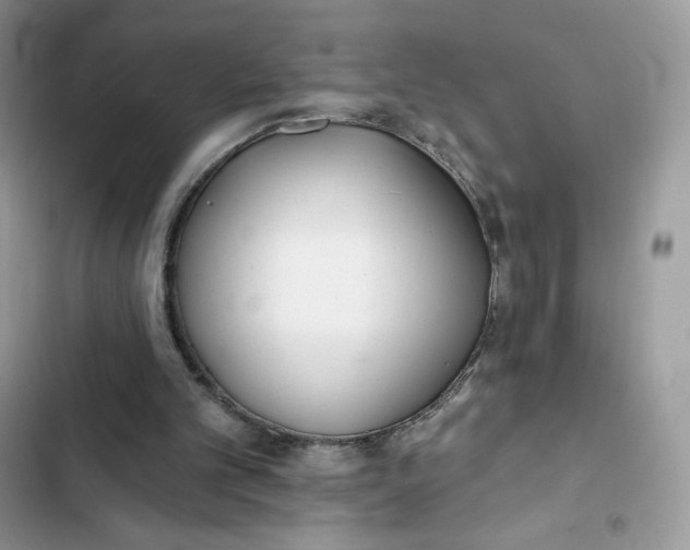 X0000103280101200809191815