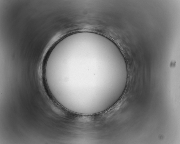 X0000103280102200809191815