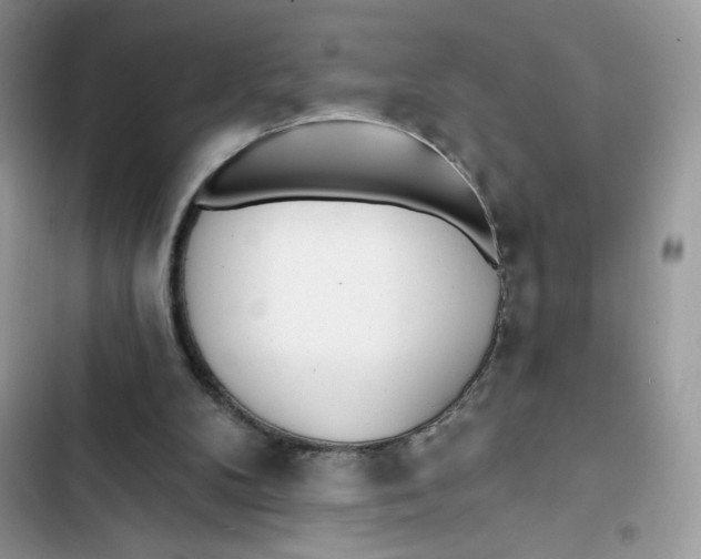 X0000103280104200809191815