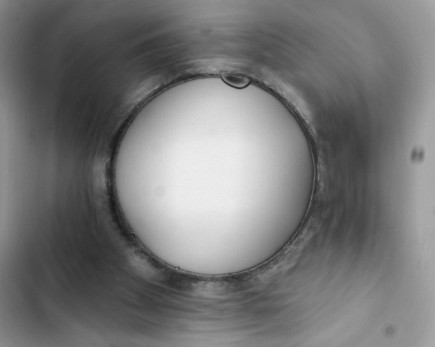 X0000103280105200809191815