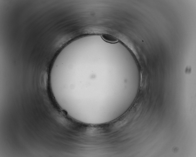 X0000103280109200809191815