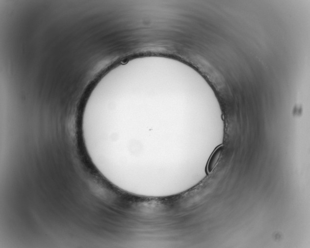 X0000103280112200809191815