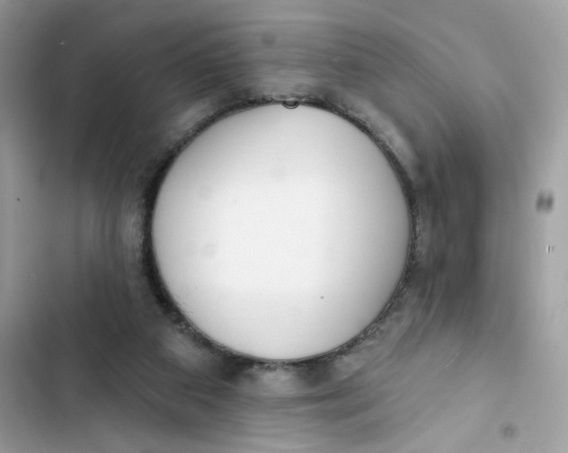 X0000103280113200809191815