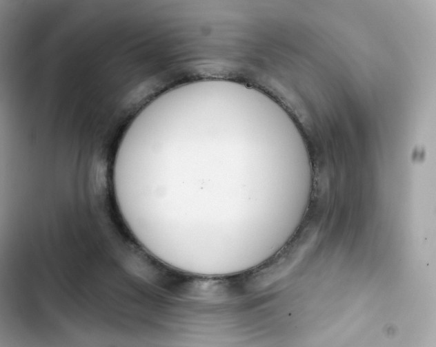 X0000103280117200809191815