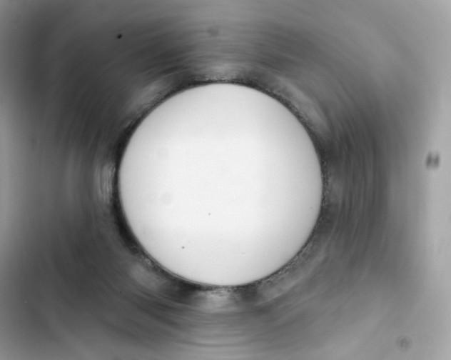 X0000103280118200809191815