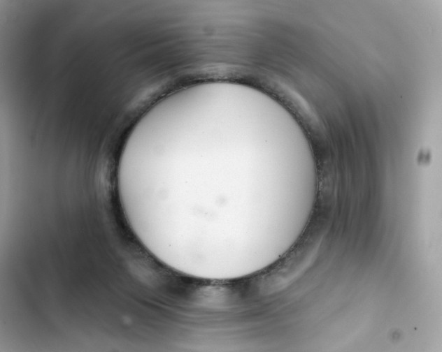 X0000103280119200809191815