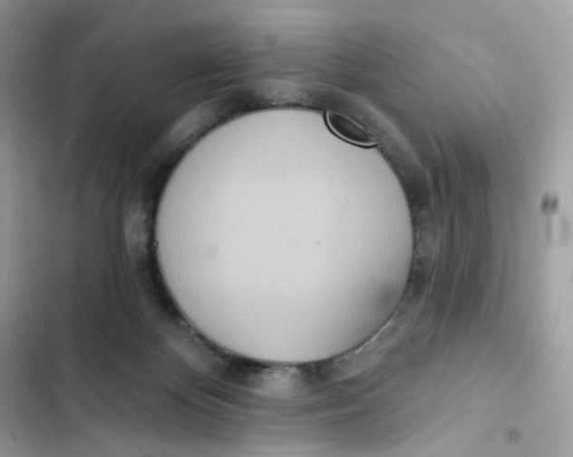 X0000103280124200809191815