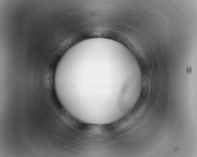 X0000103280127200809191815