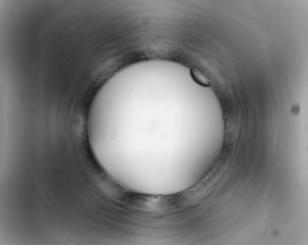 X0000103280130200809191815