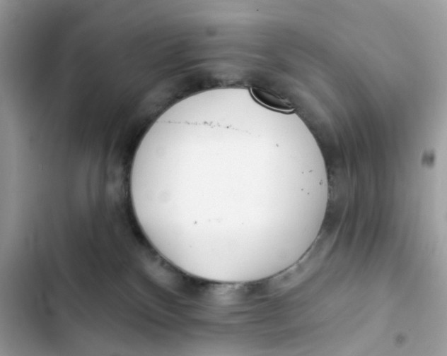 X0000103280136200809191815