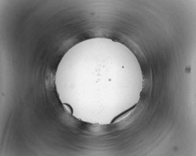 X0000103280142200809191815