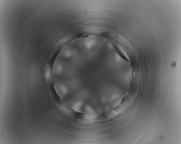 X0000103280143200809191815