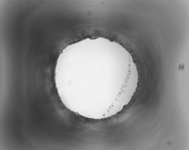 X0000103280144200809191815