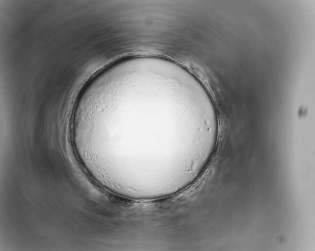 X0000103280145200809191814