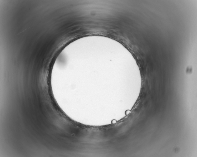 X0000103280146200809191814