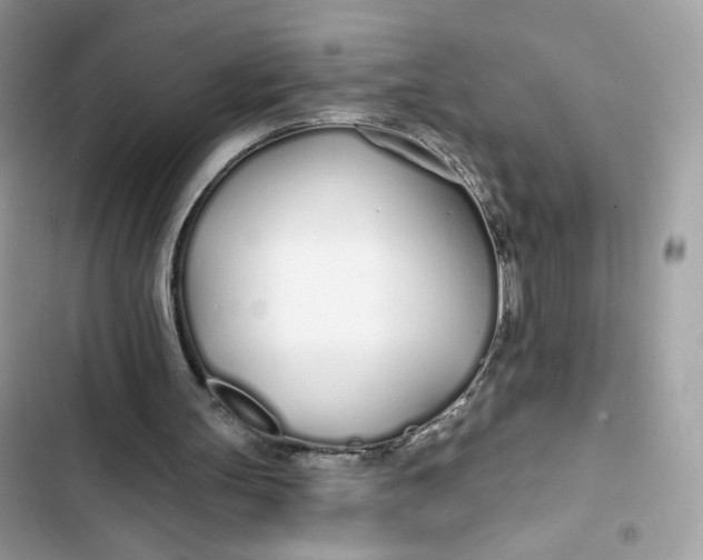 X0000103280147200809191814