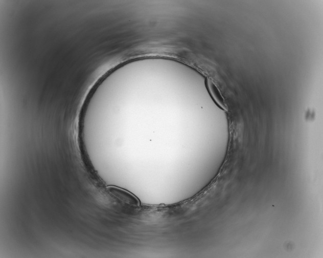 X0000103280148200809191814