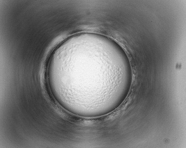 X0000103280149200809191814