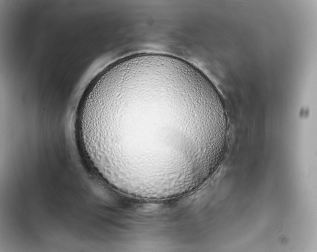 X0000103280151200809191814