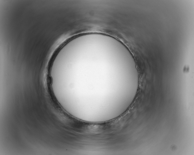 X0000103280152200809191814