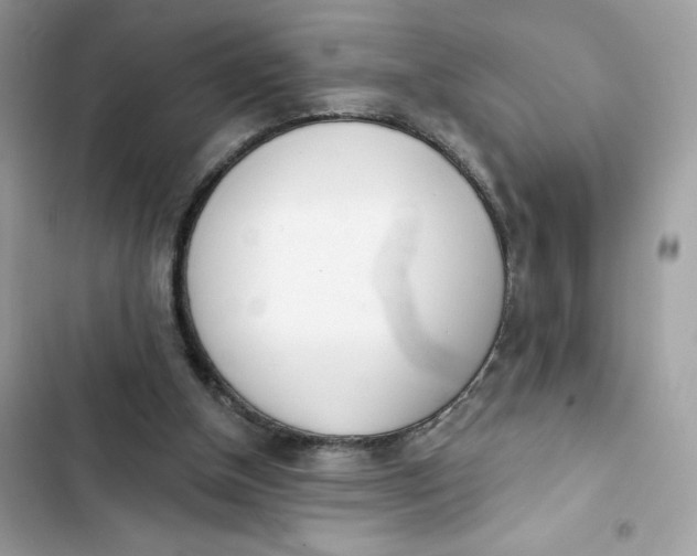 X0000103280154200809191814