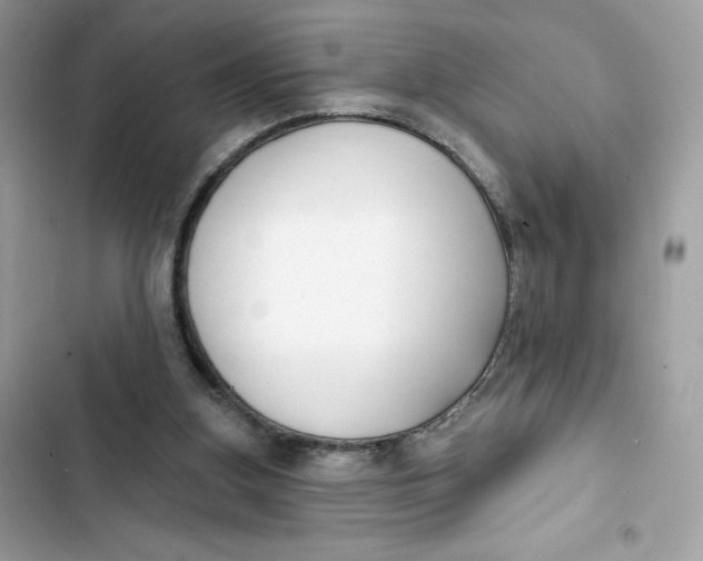 X0000103280155200809191814