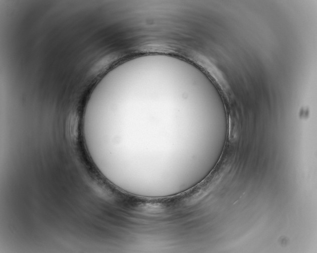 X0000103280157200809191814