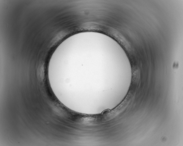 X0000103280158200809191814