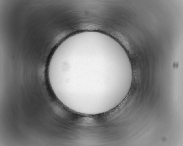 X0000103280159200809191814