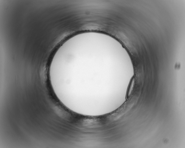 X0000103280160200809191814