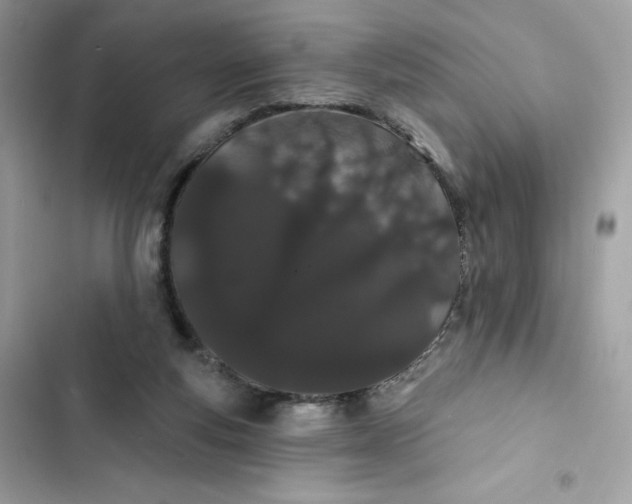 X0000103280163200809191814