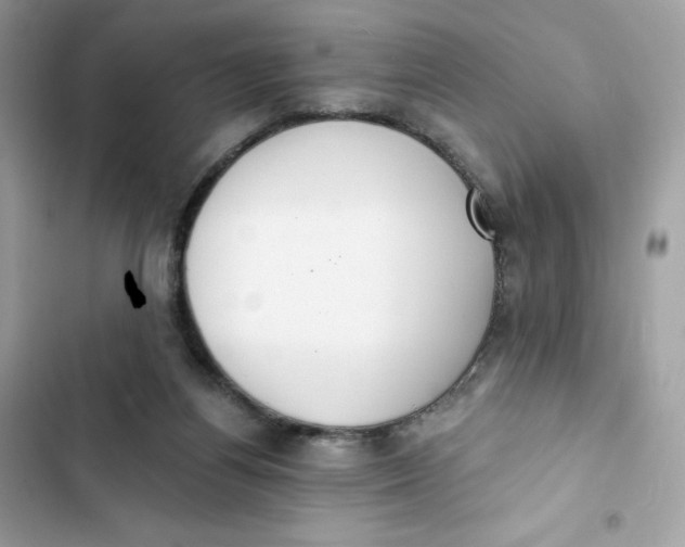 X0000103280164200809191814