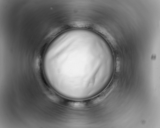 X0000103280165200809191814