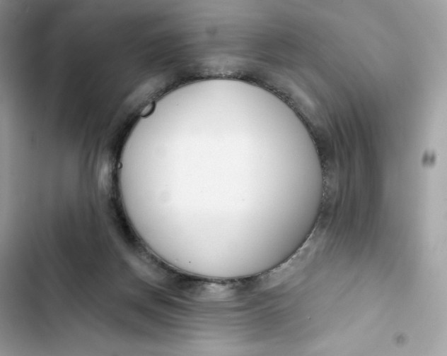 X0000103280166200809191814