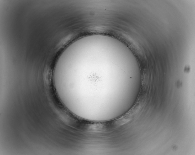 X0000103280168200809191814