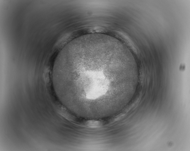 X0000103280169200809191814