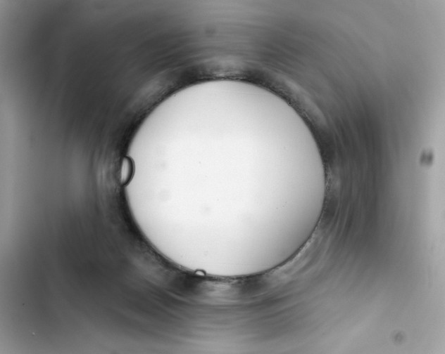 X0000103280170200809191814