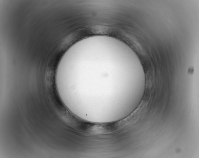 X0000103280171200809191814