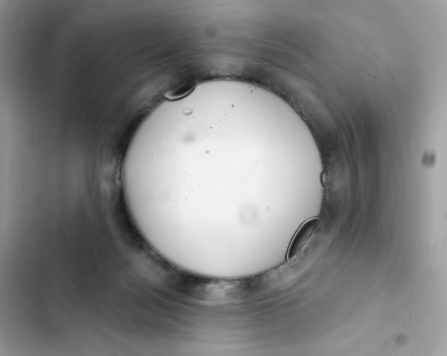 X0000103280172200809191814