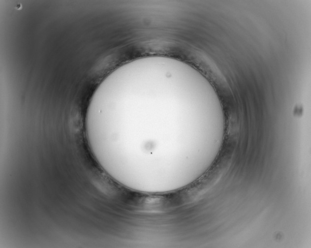 X0000103280173200809191814