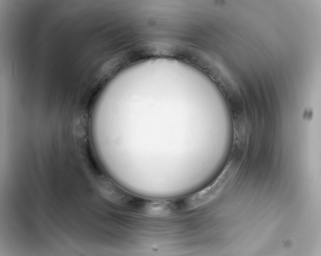 X0000103280175200809191814