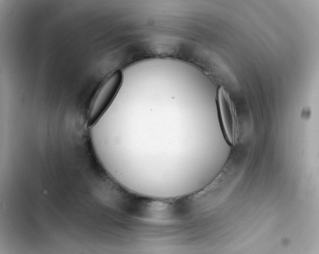 X0000103280176200809191814