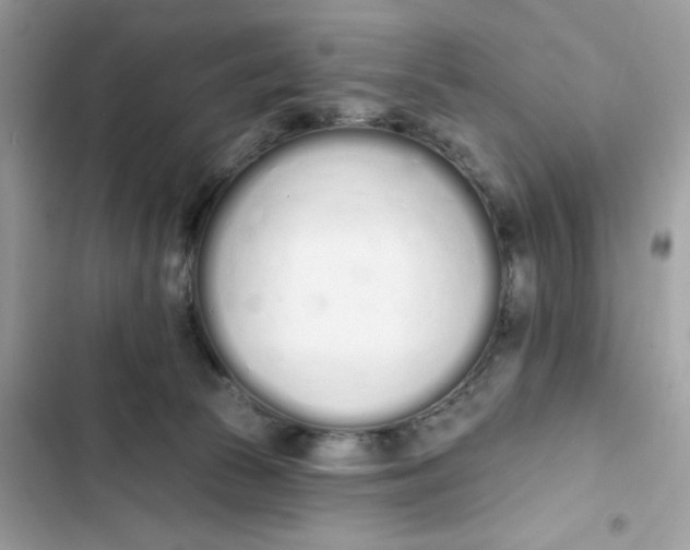 X0000103280177200809191814