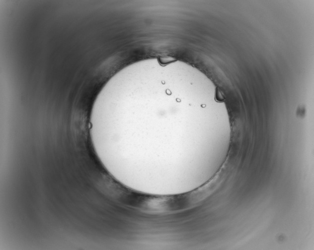 X0000103280178200809191814