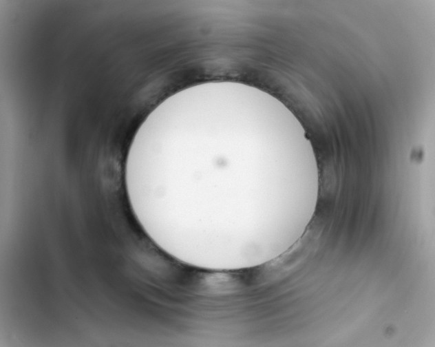 X0000103280183200809191815