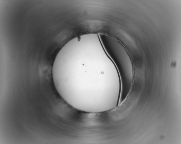 X0000103280184200809191815