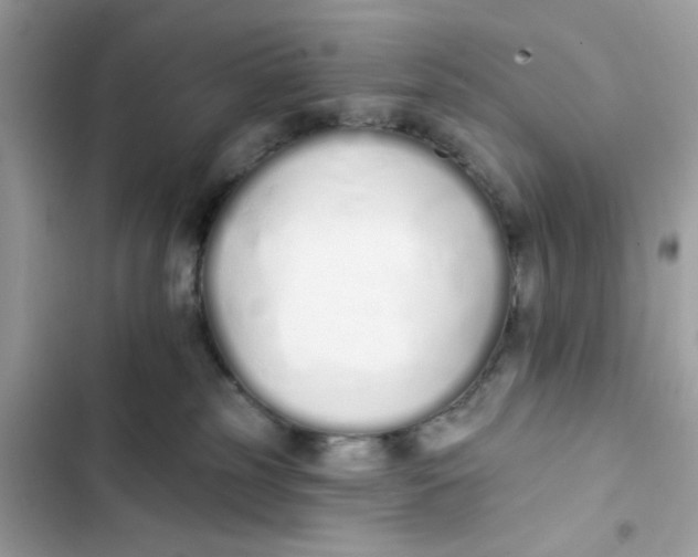 X0000103280185200809191815