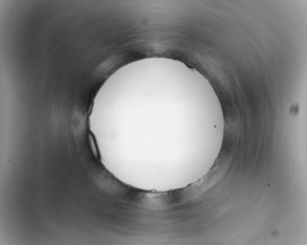 X0000103280188200809191815