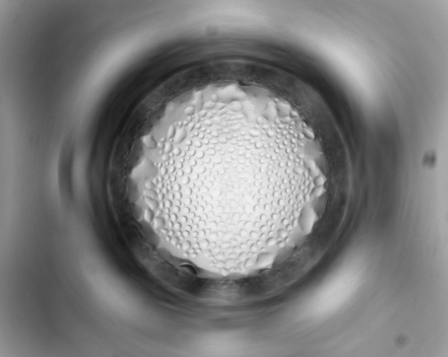 X0000103280189200809191815